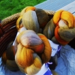 vyprodno Glitter - esanec Malabrigo