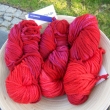 Malabrigo Chunky AMOROSO, 95 m/100 g (100% merino)