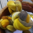 vyprodno MOSTAZA - esanec Malabrigo